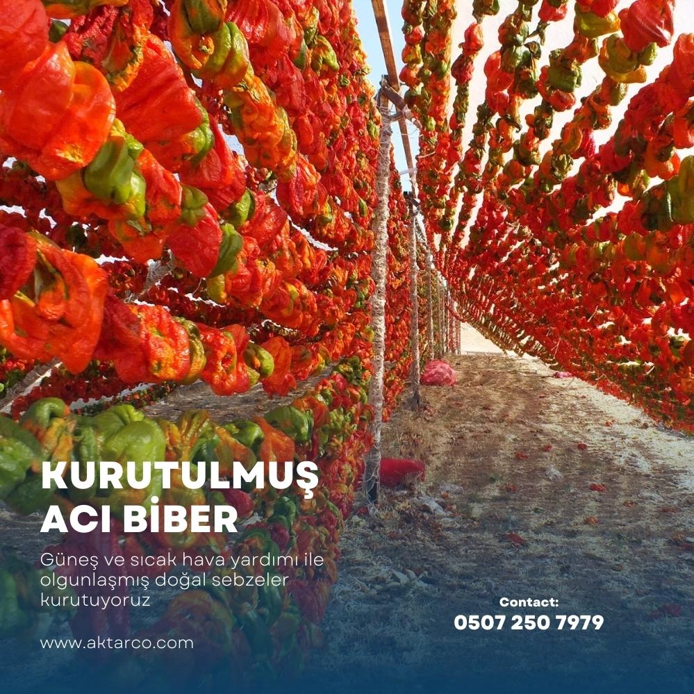 Kurutulmuş Dolmalık Acı Biber 1000 Adet | Kurutma Borsası