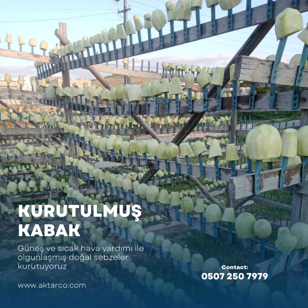Kurutulmuş Dolmalık Kabak 1000 Adet | Kurutma Borsası