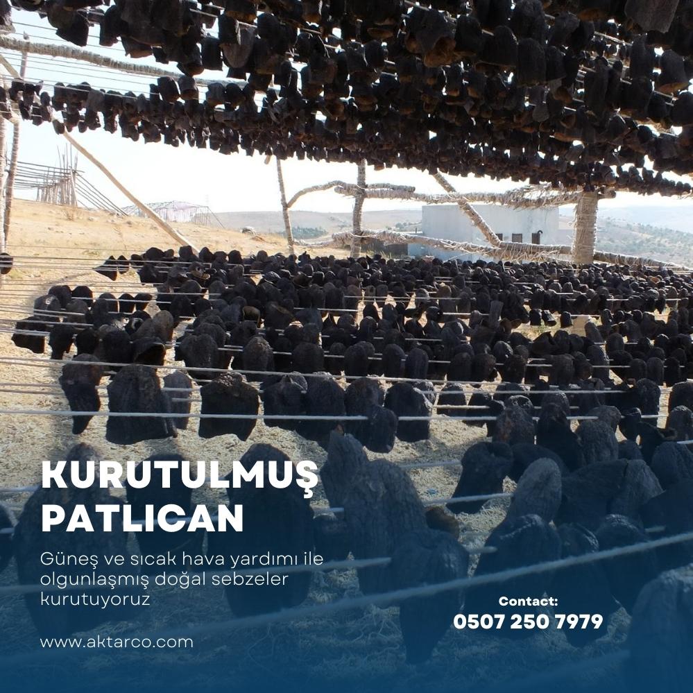 Kurutulmuş Dolmalık Patlıcan 1000 Adet | Kurutma Borsası