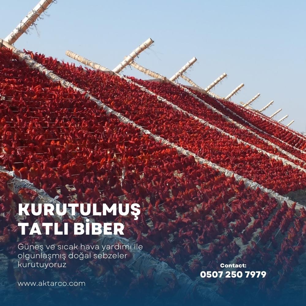 Kurutulmuş Dolmalık Tatlı Biber 1000 Adet | Kurutma Borsası